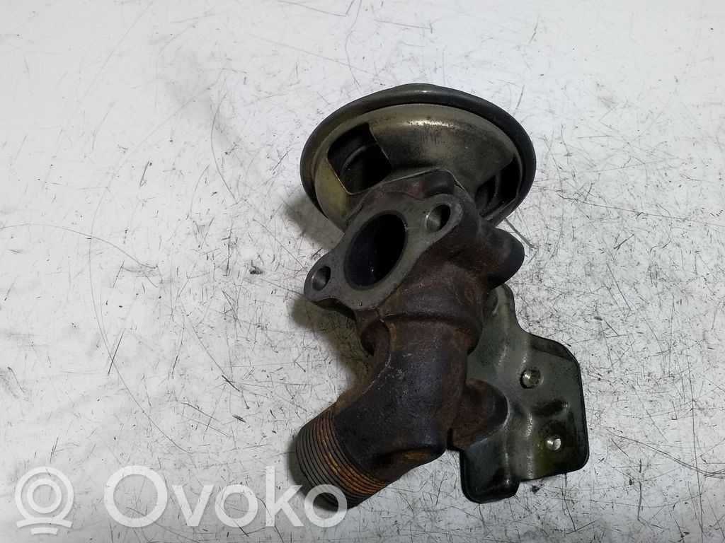 EGR-venttiili   25620064200,1350004060