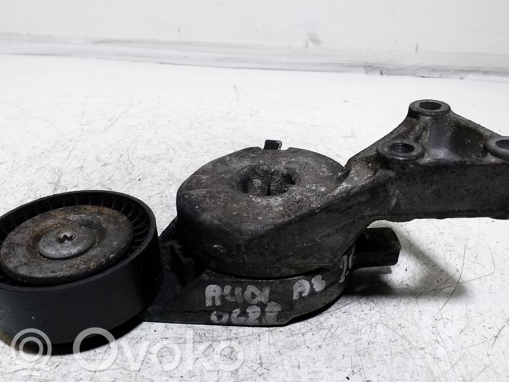Audi A3 S3 8P Generatoriaus diržo įtempėjas 