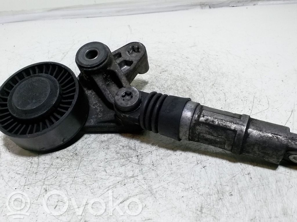 Audi A8 S8 D3 4E Generatoriaus diržo įtempėjas 