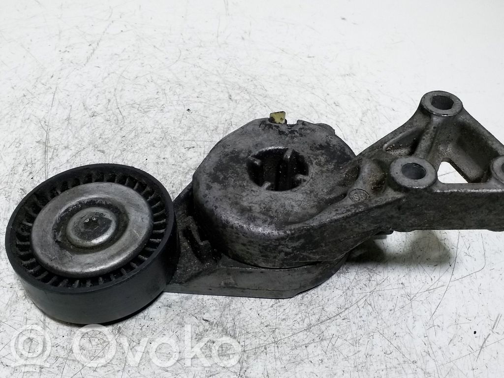 Volkswagen Golf IV Generatoriaus diržo įtempėjas 