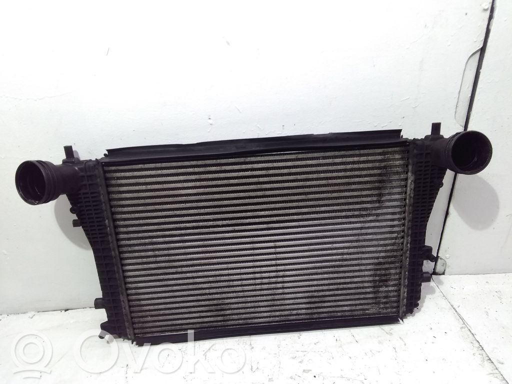 Volkswagen Golf VI Radiatore intercooler