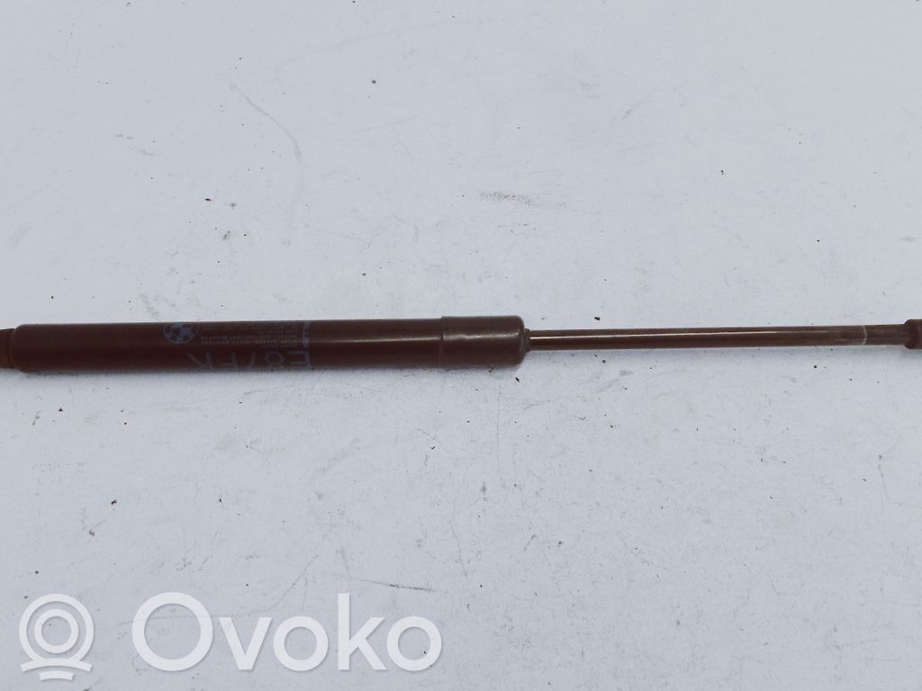 BMW 1 E82 E88 Amortizor capotă motor 