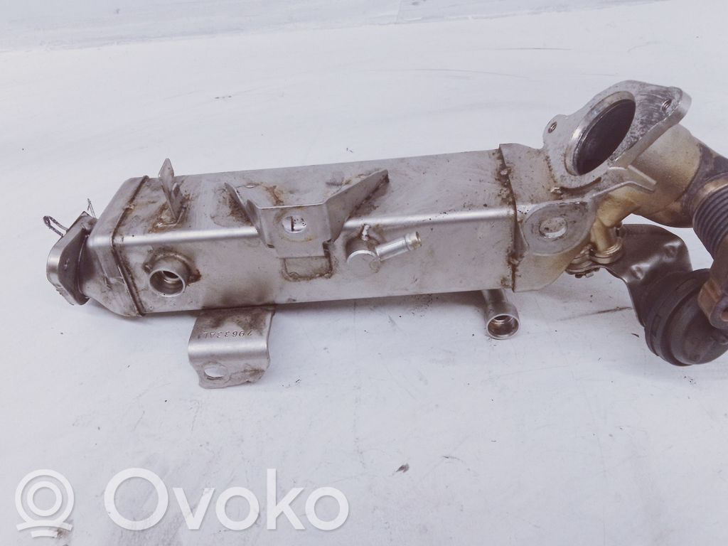 BMW 5 F10 F11 EGR dzesētājs 