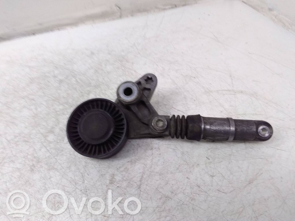 Volkswagen Touareg II Napinacz paska alternatora 