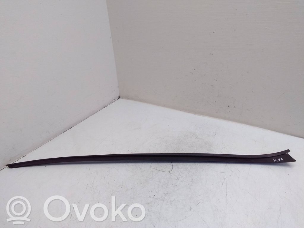 Volkswagen PASSAT B8 Ornament parbriz 