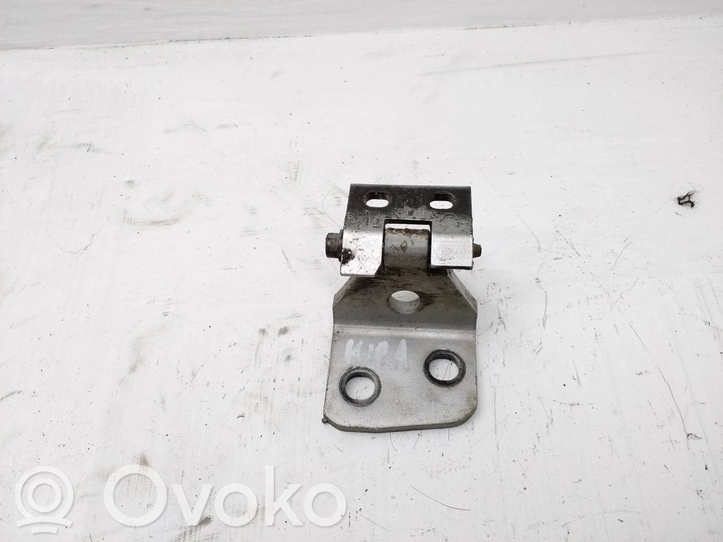 BMW X3 E83 Front door lower hinge 
