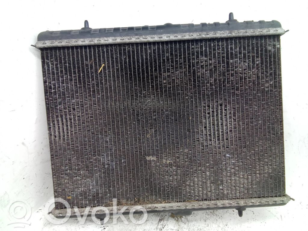 Peugeot Expert Aušinimo skysčio radiatorius 