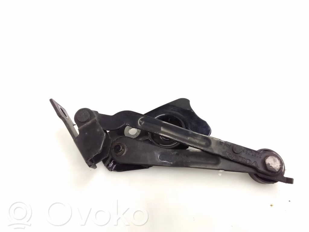 Tailgate/trunk/boot hinge   30674751
