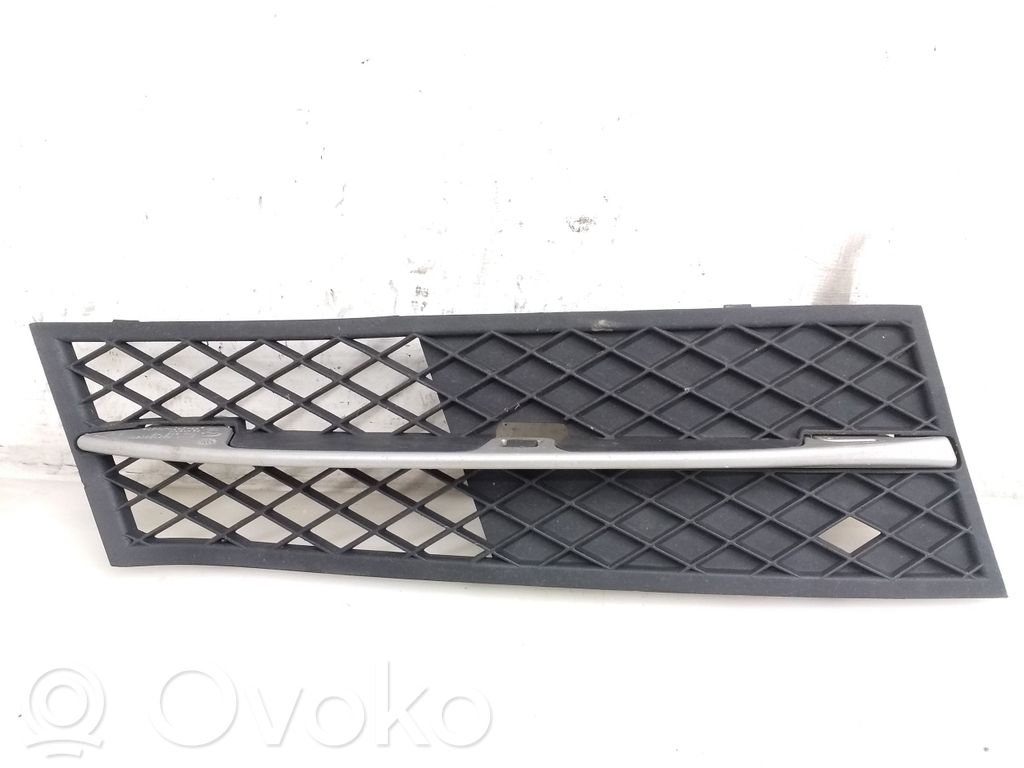 BMW 5 F10 F11 Mascherina inferiore del paraurti anteriore 