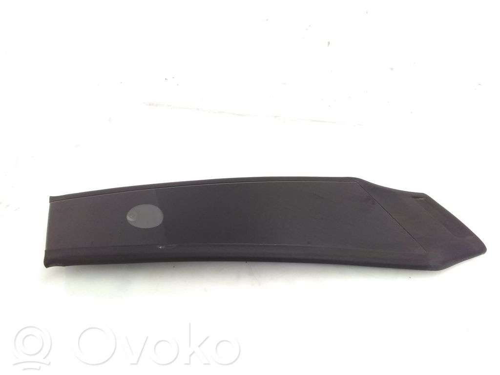Tesla Model 3 (B) Pillar trim (exterior) 