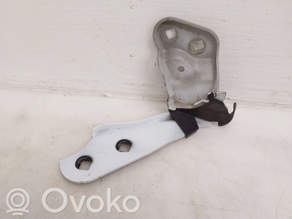 Tesla Model 3 Engine bonnet/hood hinges 