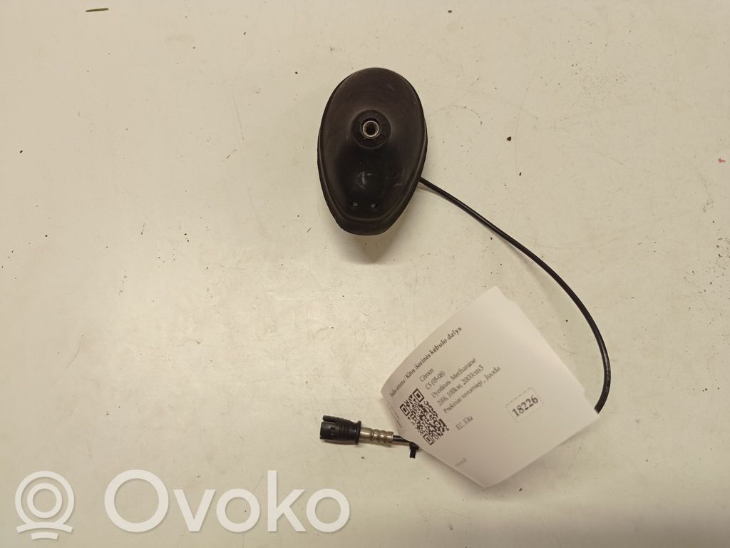 Citroen C5 Antenne radio 