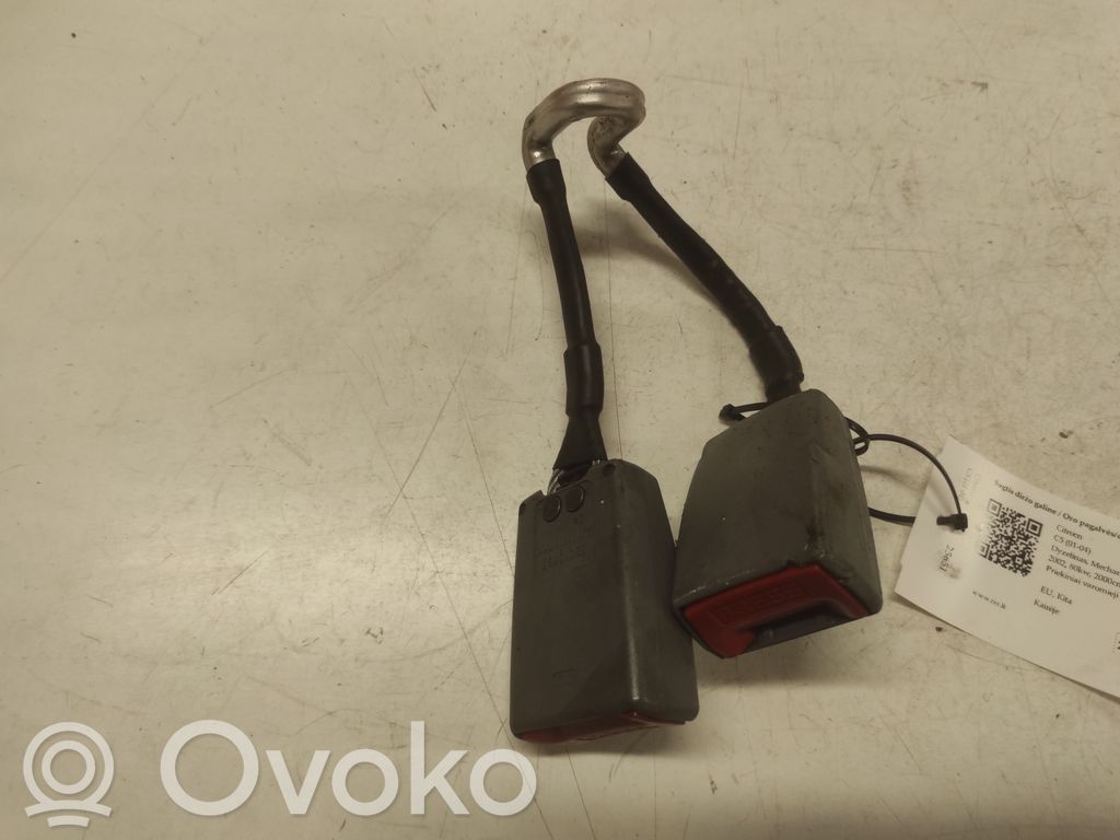 Citroen C5 Sagtis diržo galine 