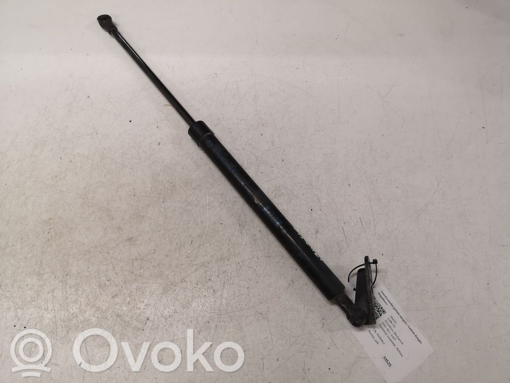 Tailgate/trunk strut/damper