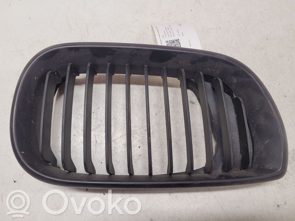 BMW 3 E46 Front grill 