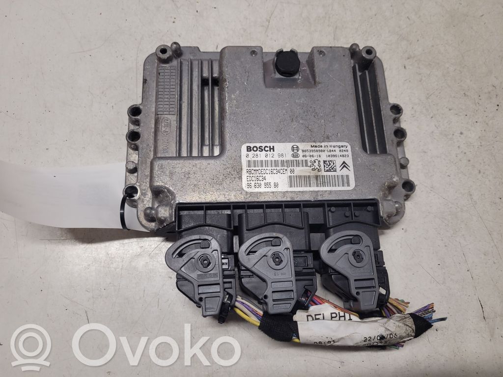 Engine control unit/module   0281012981,9663095580,9853958980,130070