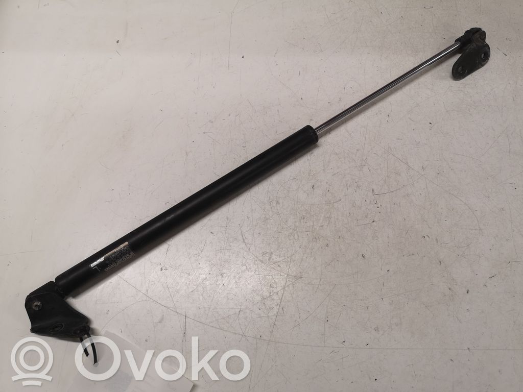 Tailgate/trunk strut/damper   5L12