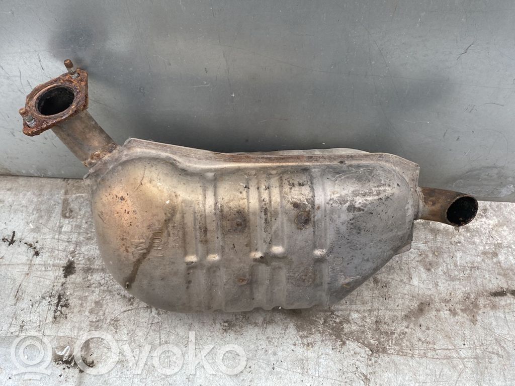Galinė pūslė   L801,5A11