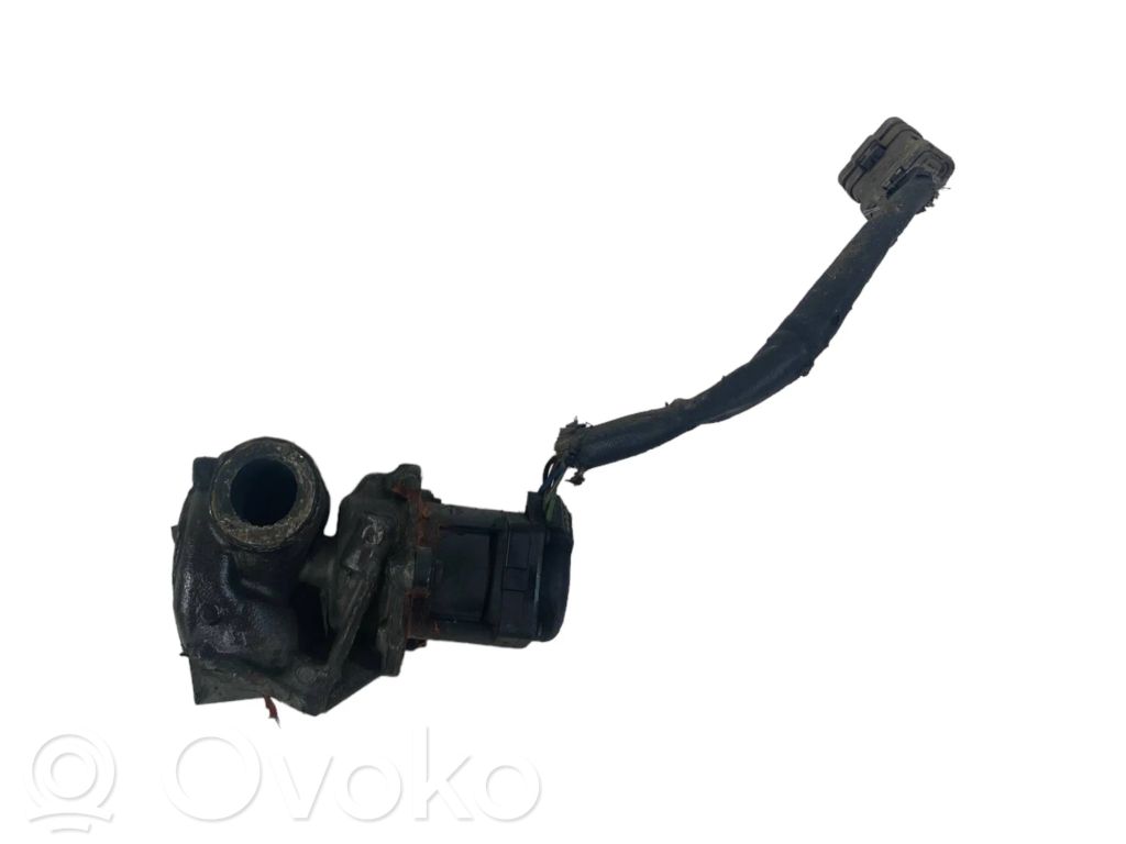 Ford Focus Valvola EGR