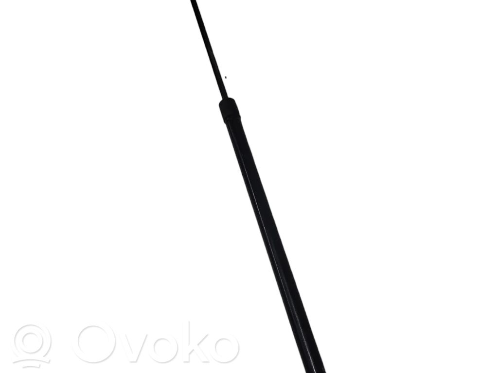 Siłownik maski przedniej   1187178,91184,350N