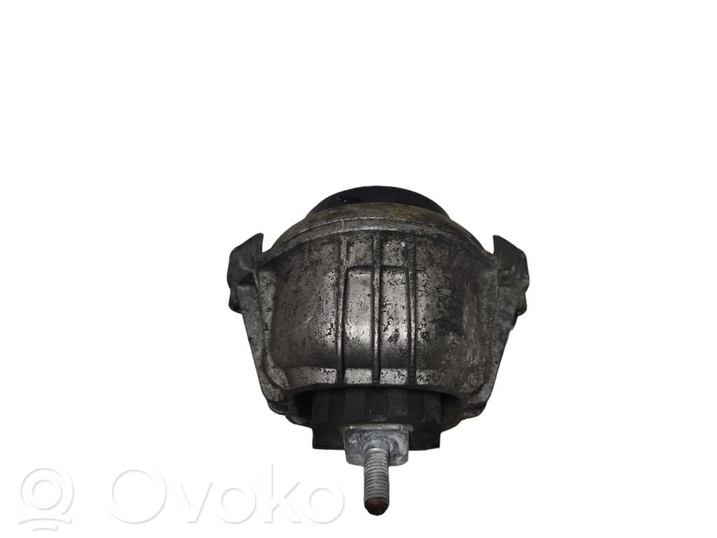 Variklio pagalvė   13981112
