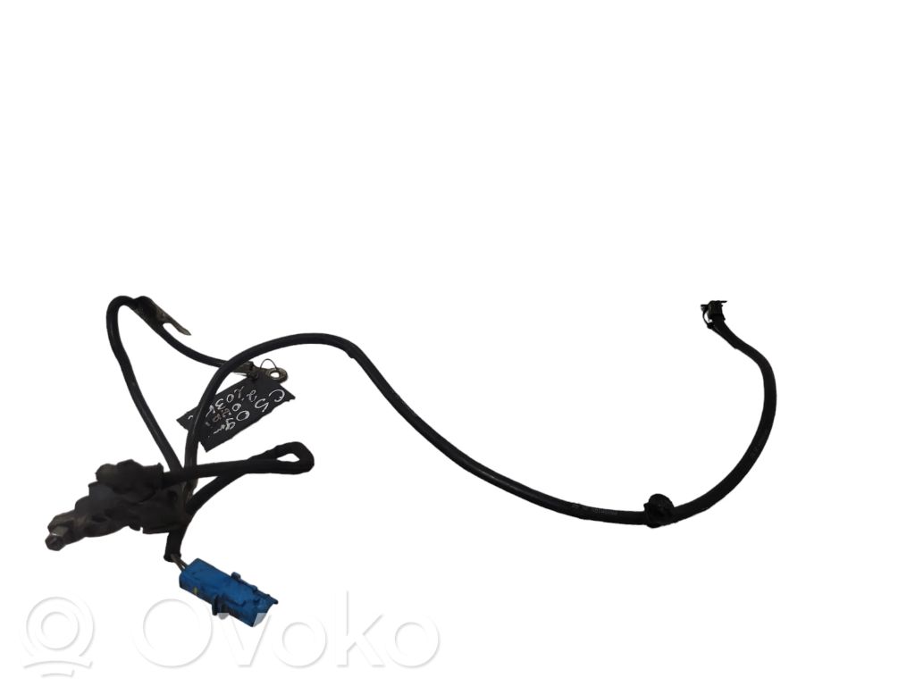 Citroen C5 Cavo negativo messa a terra (batteria)