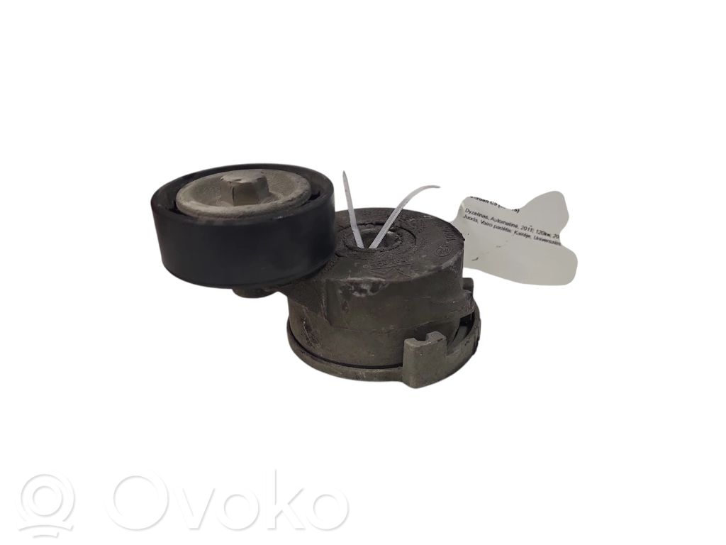 Citroen C5 Napinacz paska alternatora 