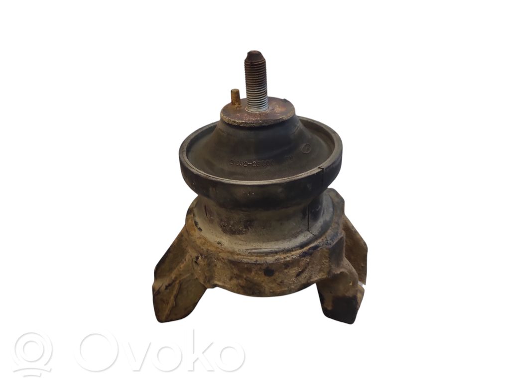 Hyundai Santa Fe Suport tampon motor 