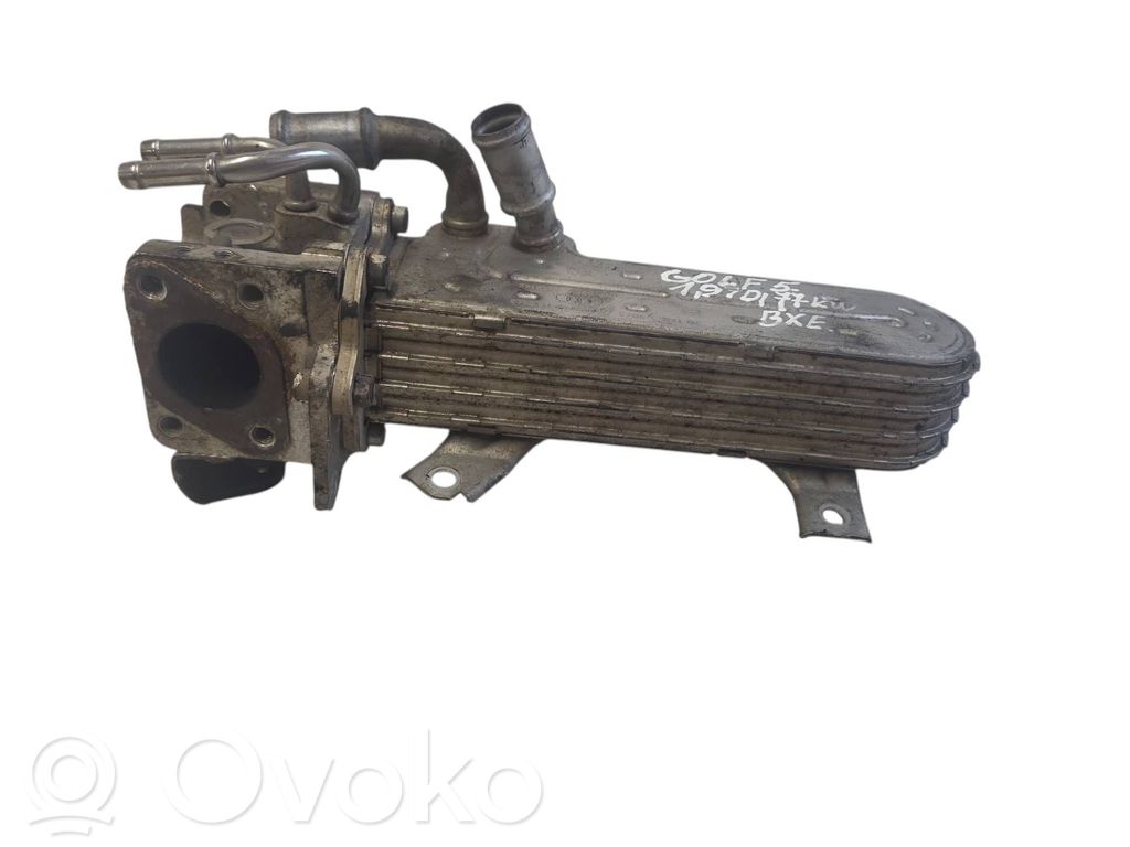 Seat Toledo III (5P) Valvola di raffreddamento EGR
