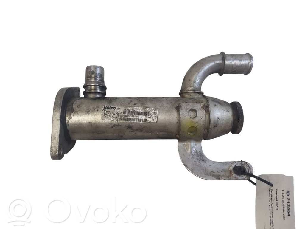 Peugeot 407 Valvola di raffreddamento EGR 