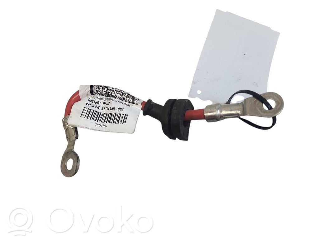 Cable positivo (batería)   31394188