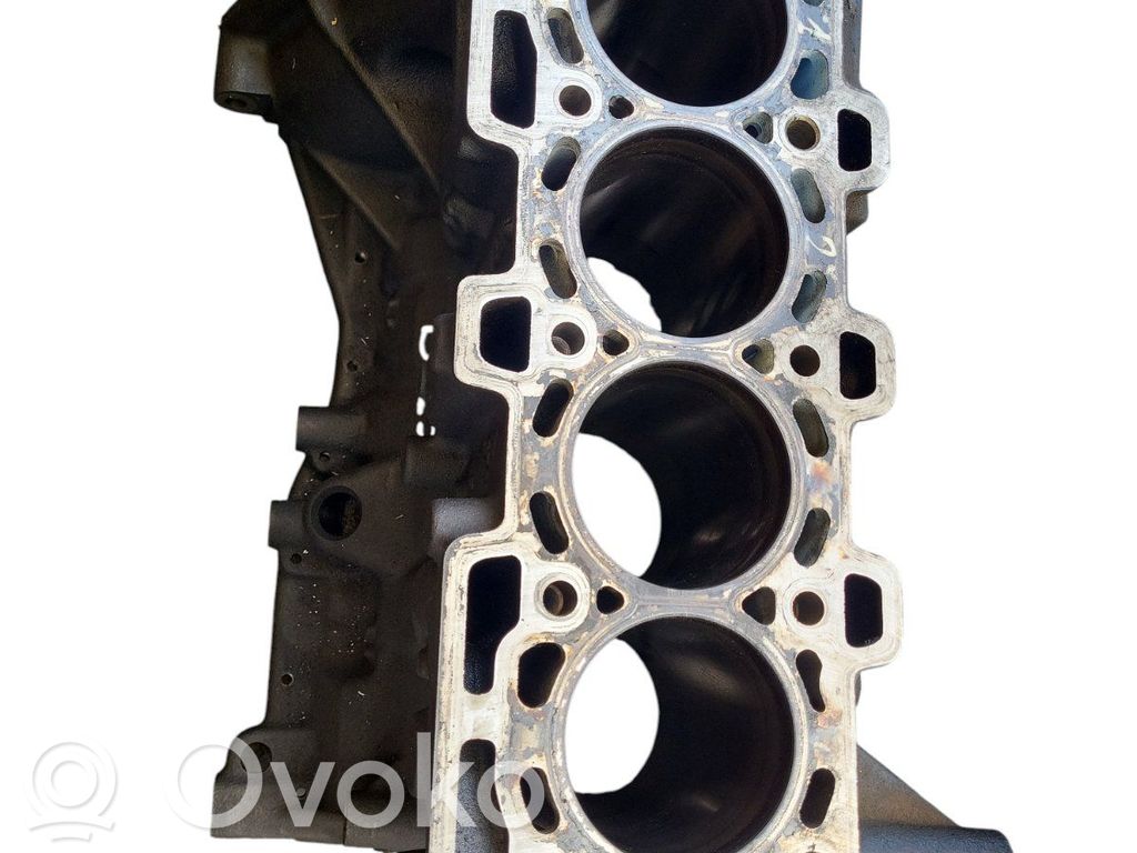 Nissan Qashqai Engine block 