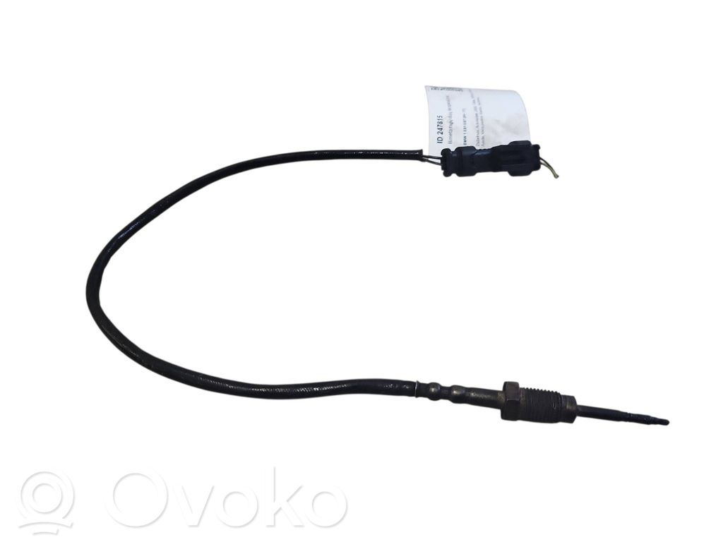 Czujnik temperatury spalin   7806254,2656001210