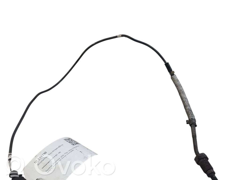 Volkswagen Golf V Abgastemperatursensor 