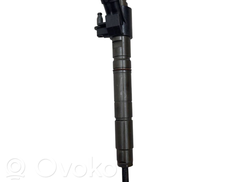 Land Rover Range Rover Sport L320 Injector combustibil 