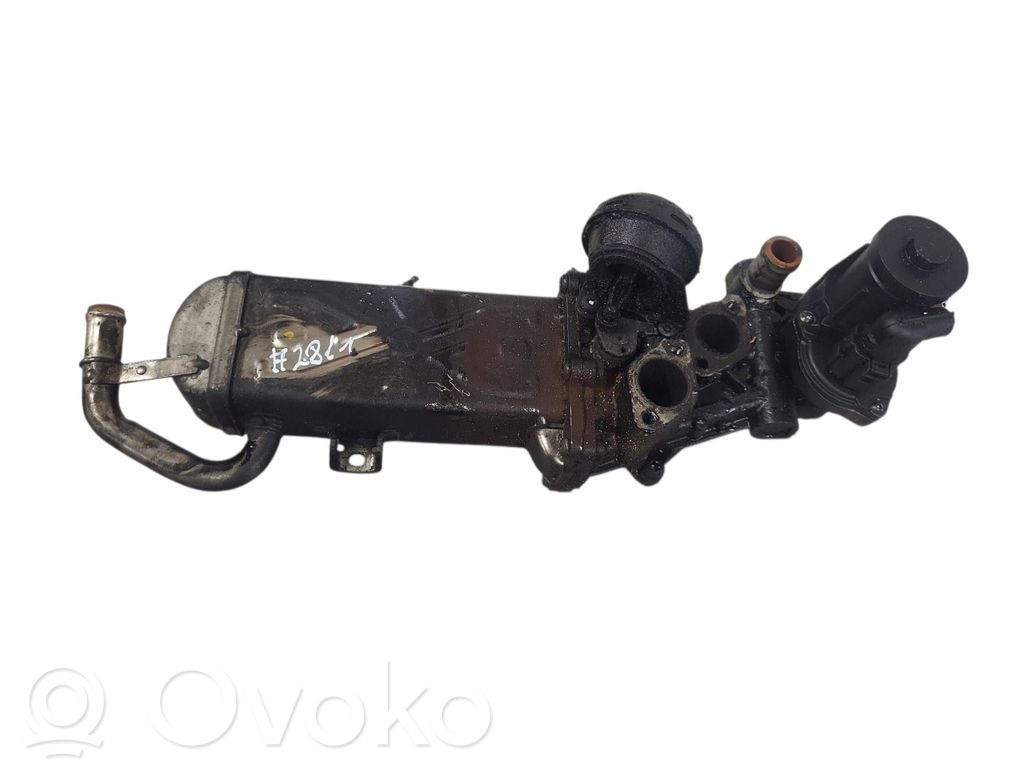Volkswagen Golf VI Zawór EGR 