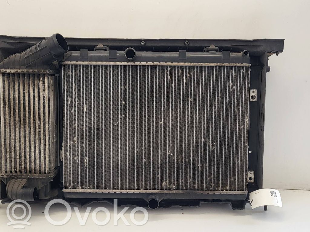 Peugeot 308cc Set del radiatore 