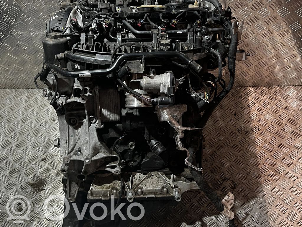Motor   DMS,DMSB