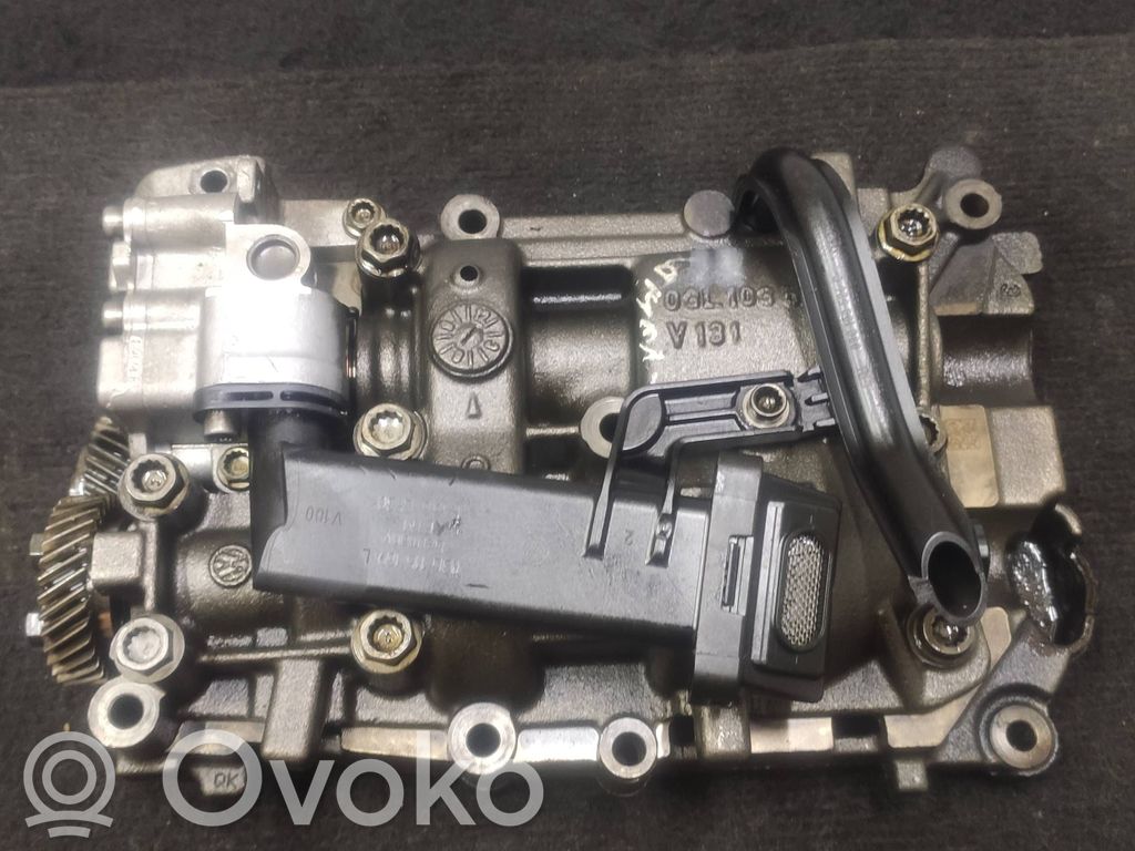 Volkswagen PASSAT B7 Oil pump 