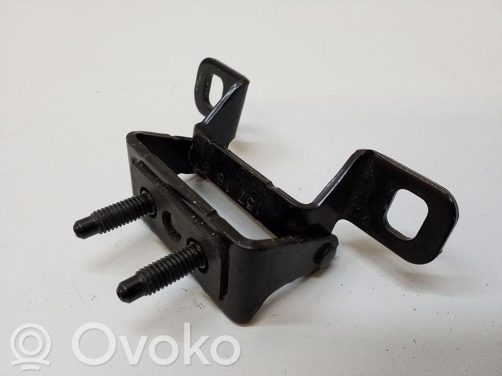Tailgate/trunk/boot hinge   15718