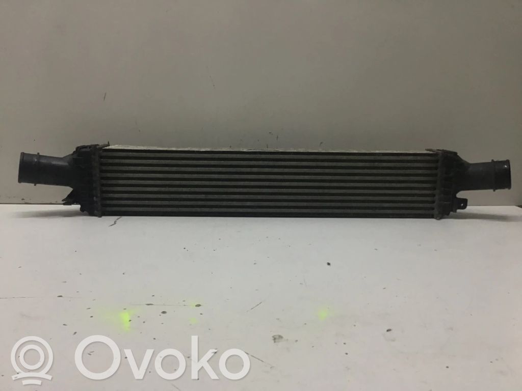 Interkūlerio radiatorius   L0779003