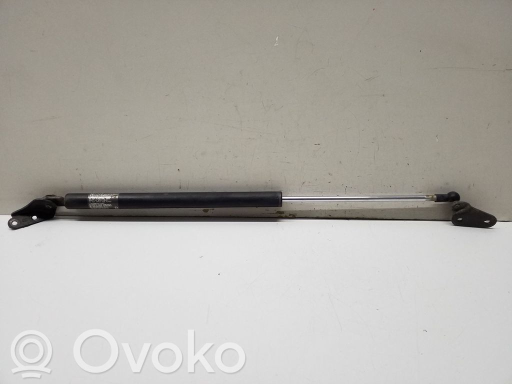 Tailgate/trunk strut/damper   5J19