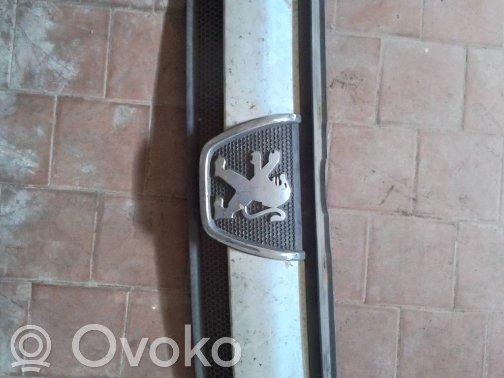 Peugeot Boxer Front grill 