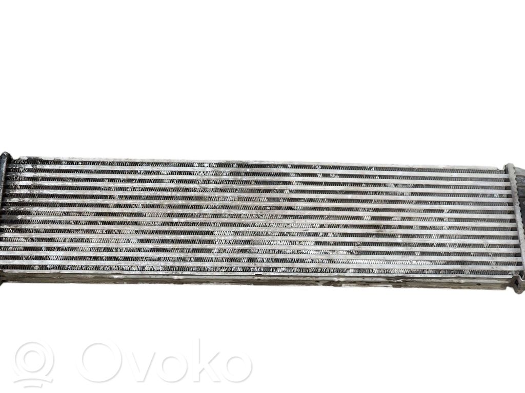 Interkūlerio radiatorius   874806M
