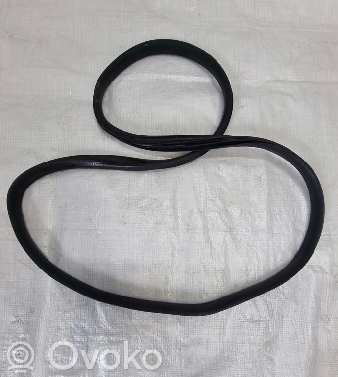 Ford Fiesta Rear door rubber seal (on body) 
