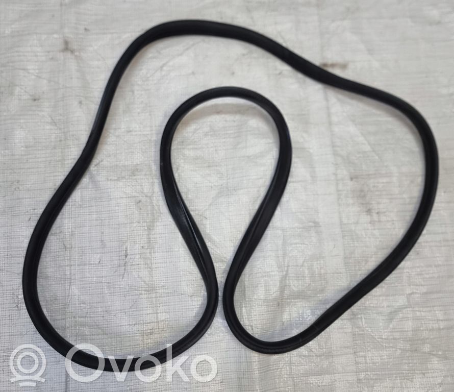 Ford S-MAX Front door rubber seal 