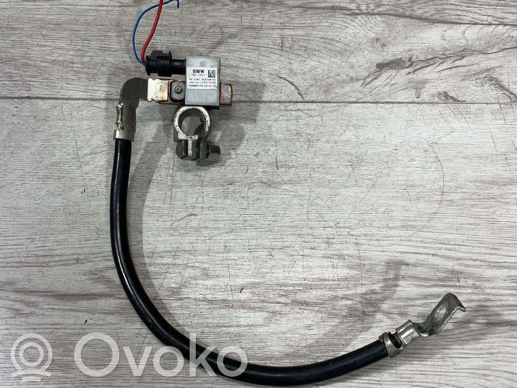 BMW 1 F20 F21 Cable negativo de tierra (batería) 
