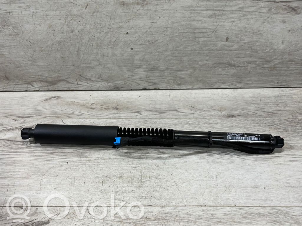 Tailgate strut   784184