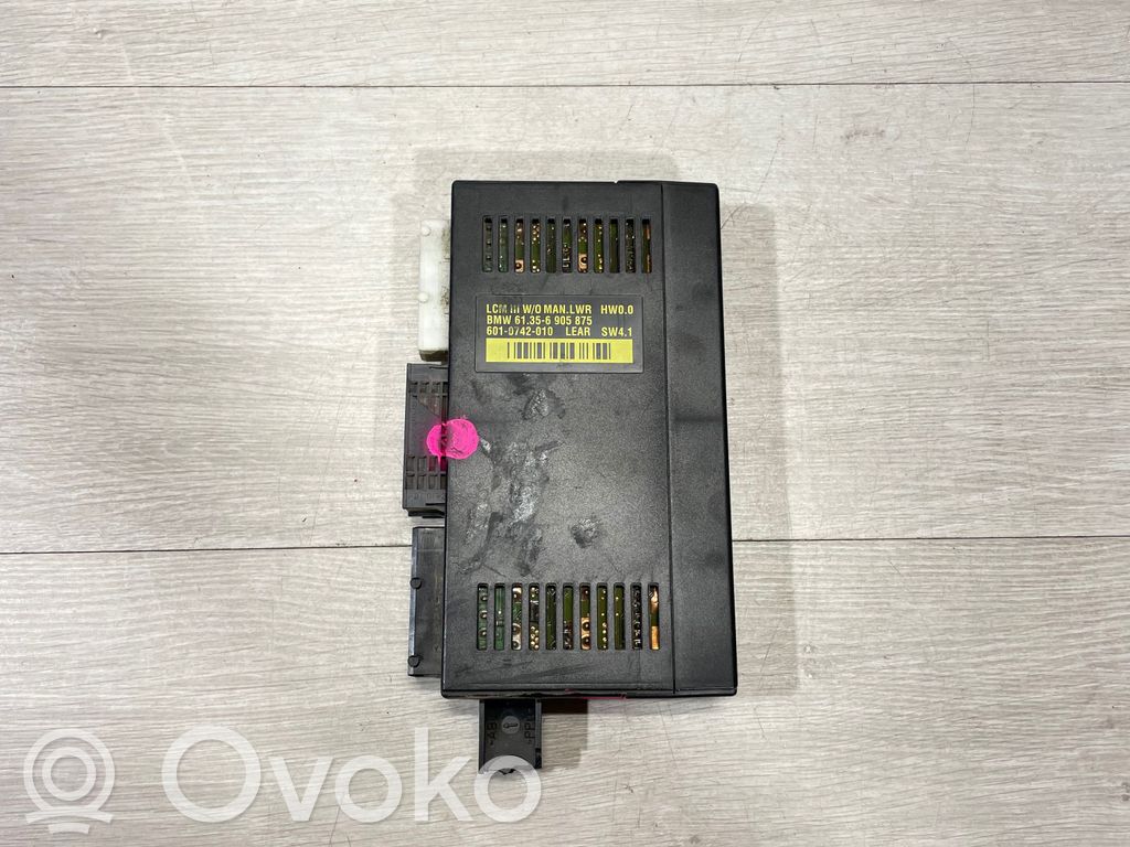 Engine control unit/module   6905875,61356905875,6010742010
