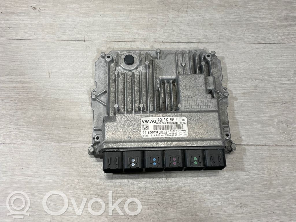 Engine control unit/module   06M907309K,0261S19024